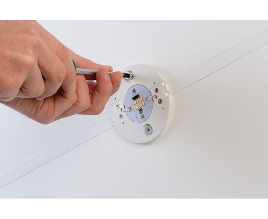 Настенный светильник Paulmann Special ABL StairLED 4x1,2W 10VA 95mm Ws 93807, фото 5