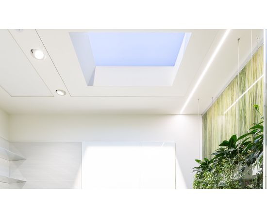 Встраиваемая в потолок система освещения CoeLux CoeLux® 45 LC, фото 5