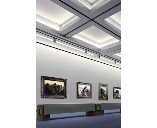 Трековый светодиодный светильник Limex Commeicial Track Light TL0002A, фото 4