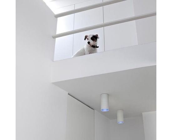 Flos Architectural Kap 80 Surface Round, фото 4