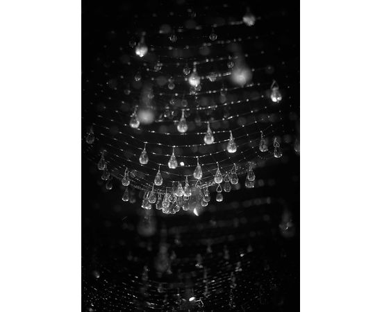 Подвесной светильник Ingo Maurer Lacrime del Pescatore, фото 2