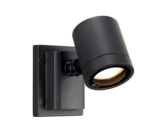 MYRA WALL, фото 1