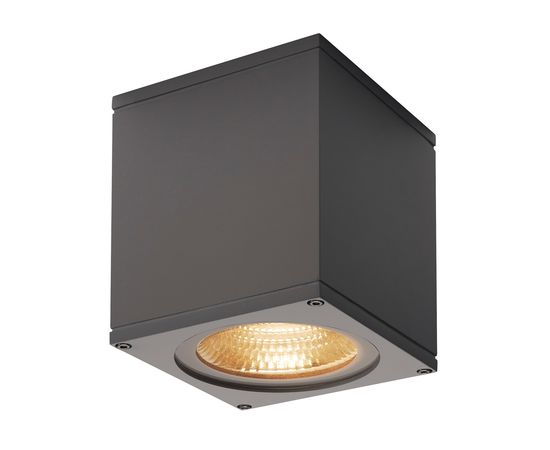 BIG THEO CEILING, фото 1