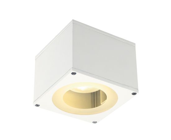 BIG THEO, фото 1