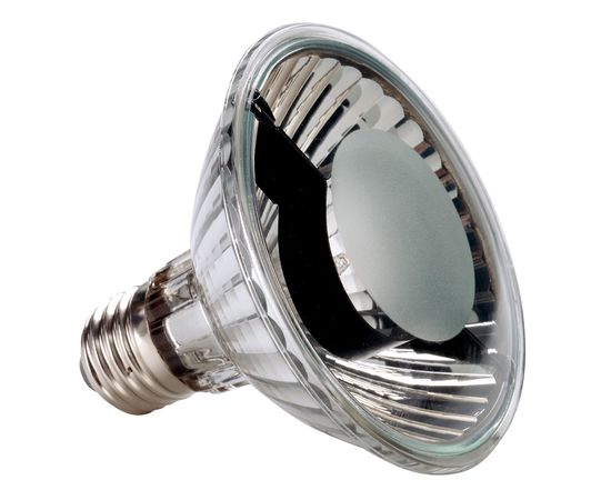 PAR30 E27, фото 1