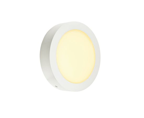 LED DOWNLIGHT PRO ST, фото 2
