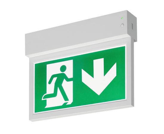 BIG THEO WALL, фото 3