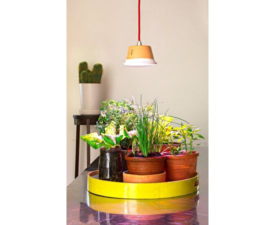 Настольный светильник Linea Light Chlorophyll, фото 3