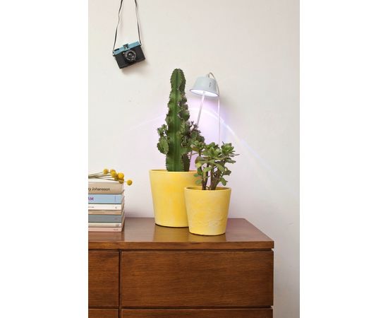 Настольный светильник Linea Light Chlorophyll, фото 7