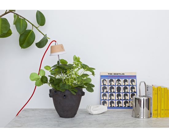 Настольный светильник Linea Light Chlorophyll, фото 4