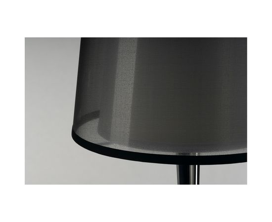 BISHADE SL-1, фото 2