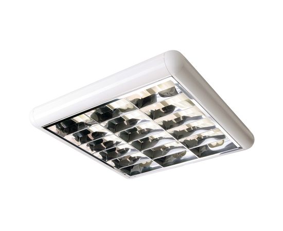 TC RASTER 336, фото 2