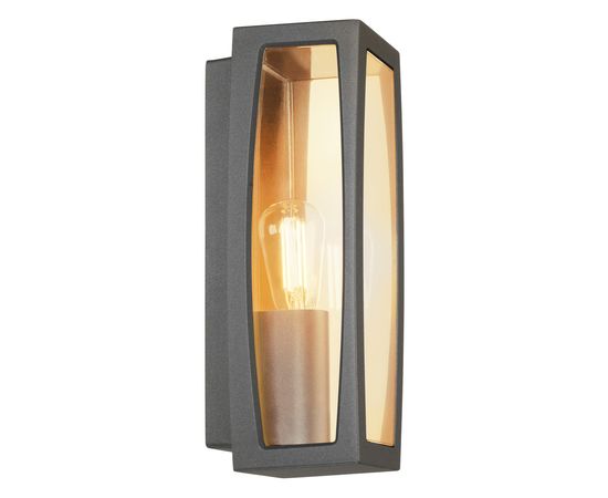 BIG NAUTILUS, фото 3