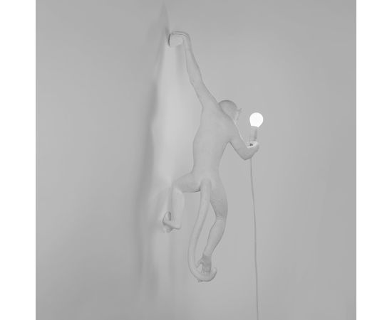 Настенный светильник Seletti The Monkey Lamp Black Hanging Version, фото 5