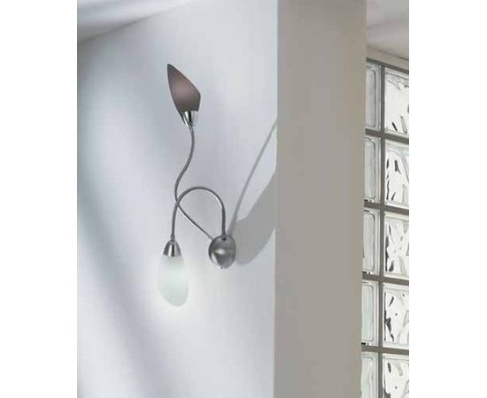 De Majo POLIPO A1, A2, фото 1