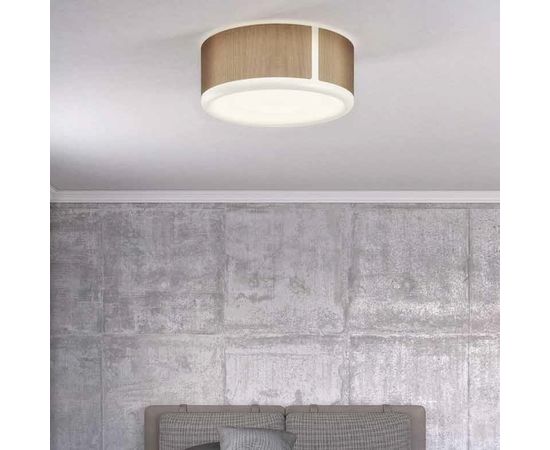 Потолочный светильник Molto Luce APOLLO SURFACE S, фото 2