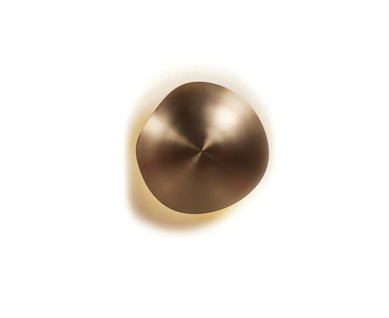 Настенный/потолочный светильник Viso CHESTNUT, фото 1