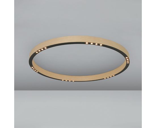 Потолочный светильник B-lux R2 C60, фото 1