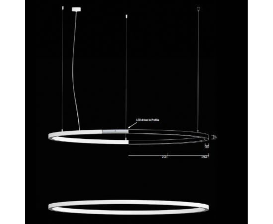 Подвесной светильник Molto Luce RIDE RING, фото 2