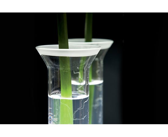 Настенный светильник CONTARDI Lala Ap Soliflor, фото 4