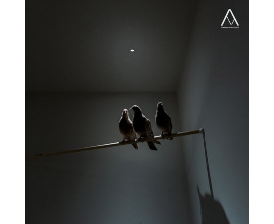 Встраиваемый светильник Davide Groppi Nulla, фото 5