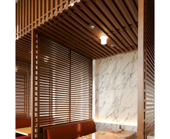 Встраиваемый светильник Louis Poulsen Ballerup, фото 4