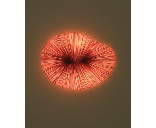 Настенно-потолочный светильник Aqua Creations CORAL, фото 1