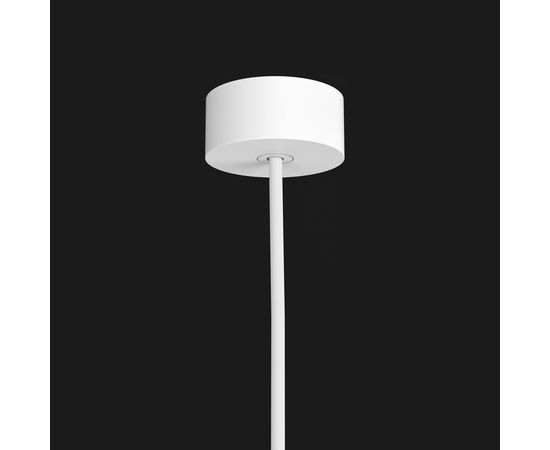 Потолочный светильник Doxis Titan 200 Surface Mounted, фото 5