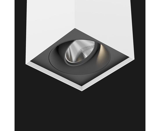 Накладной потолочный светильник Doxis Atlas Box Single Surface Mounted, фото 3