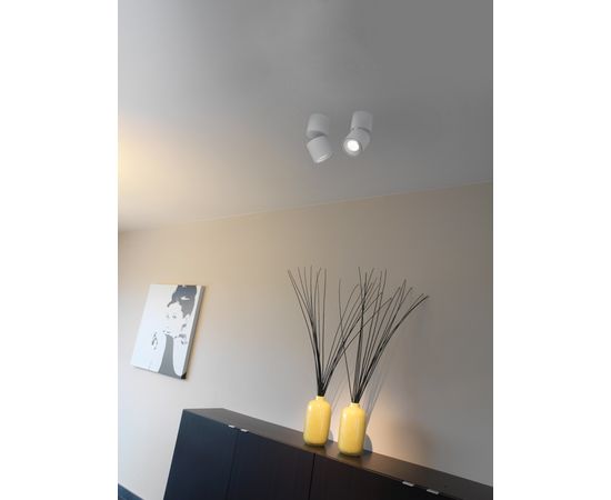 Потолочный светильник Doxis Titan Surface Mounted, фото 3