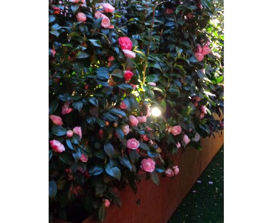 Уличный светильник Antonangeli Illuminazione I-Snap, фото 5