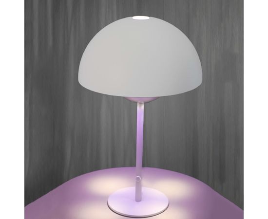 Настольная лампа SIKREA Zaffira/LT, фото 1