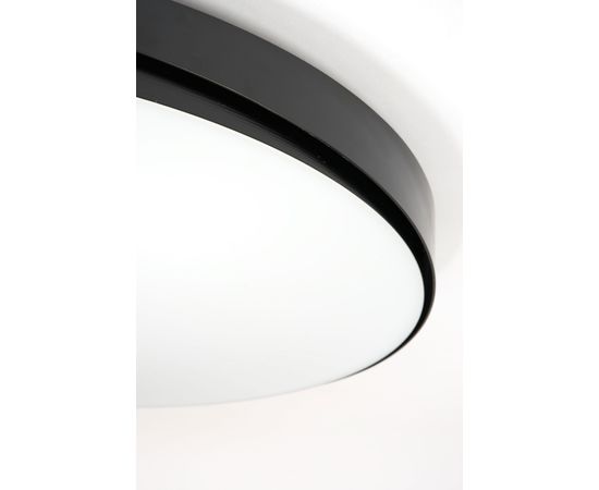 Настенно-потолочный светильник ZAVA LOOLA ceiling lamp, фото 3