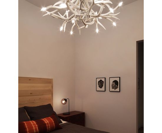 Подвесной светильник Roll &amp;amp; Hill Superordinate Antler Chandelier - 12 Antlers, фото 5