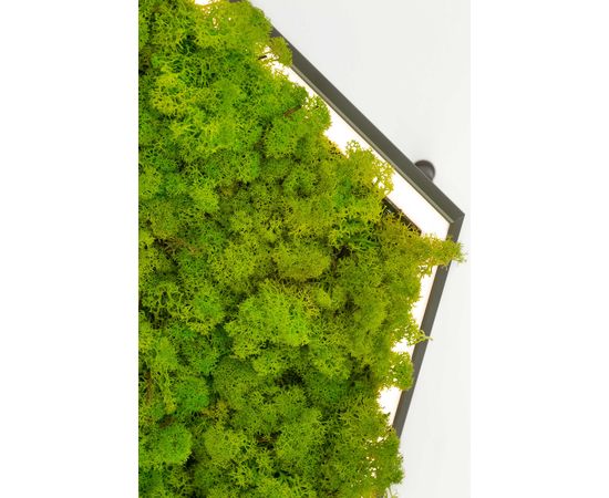 Подвесной светильник OLEV Poly Esagono Soundless, фото 5