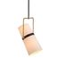 Подвесной светильник Crate and Barrel Riston Adjustable Pendant Light, фото 1