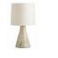 Настольная лампа Arteriors home Earnest Lamp, фото 1