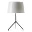 Настольная лампа Foscarini Lumiere XXL, фото 1