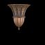 Бра Fine Art Lamps A Midsummer Nights Dream 212950ST, фото 1