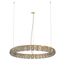 Подвесной светильник Castro Lighting Leviev Suspension, фото 1
