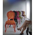 CAVIO I Dogi DG119-2, фото 1