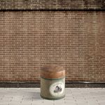 Dialma Brown DB002298, фото 1