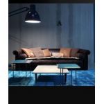 Baxter ALFRED SPECIAL EDITION TRENCH DIVANO, фото 1