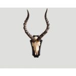 Scultura DB001975, фото 1