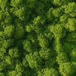 Декор &quot;зеленая стена&quot; Adriani &amp; Rossi Lichen, фото 1