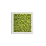 Декор &quot;зеленая стена&quot; Adriani &amp; Rossi Picture Frame Pialla Lichen, фото 1
