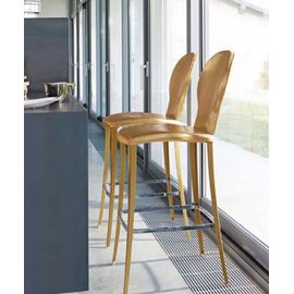 Bonaldo Victor hi, фото 1