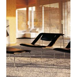 Swan Italia Haga, фото 1