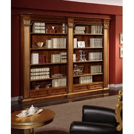 Scappini Library 1, фото 1