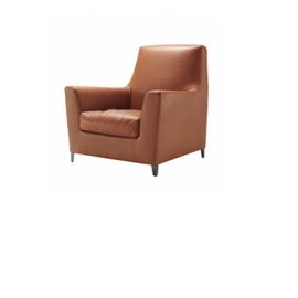 Ligne Roset RIVE DROITE Armchair with High Back, фото 1